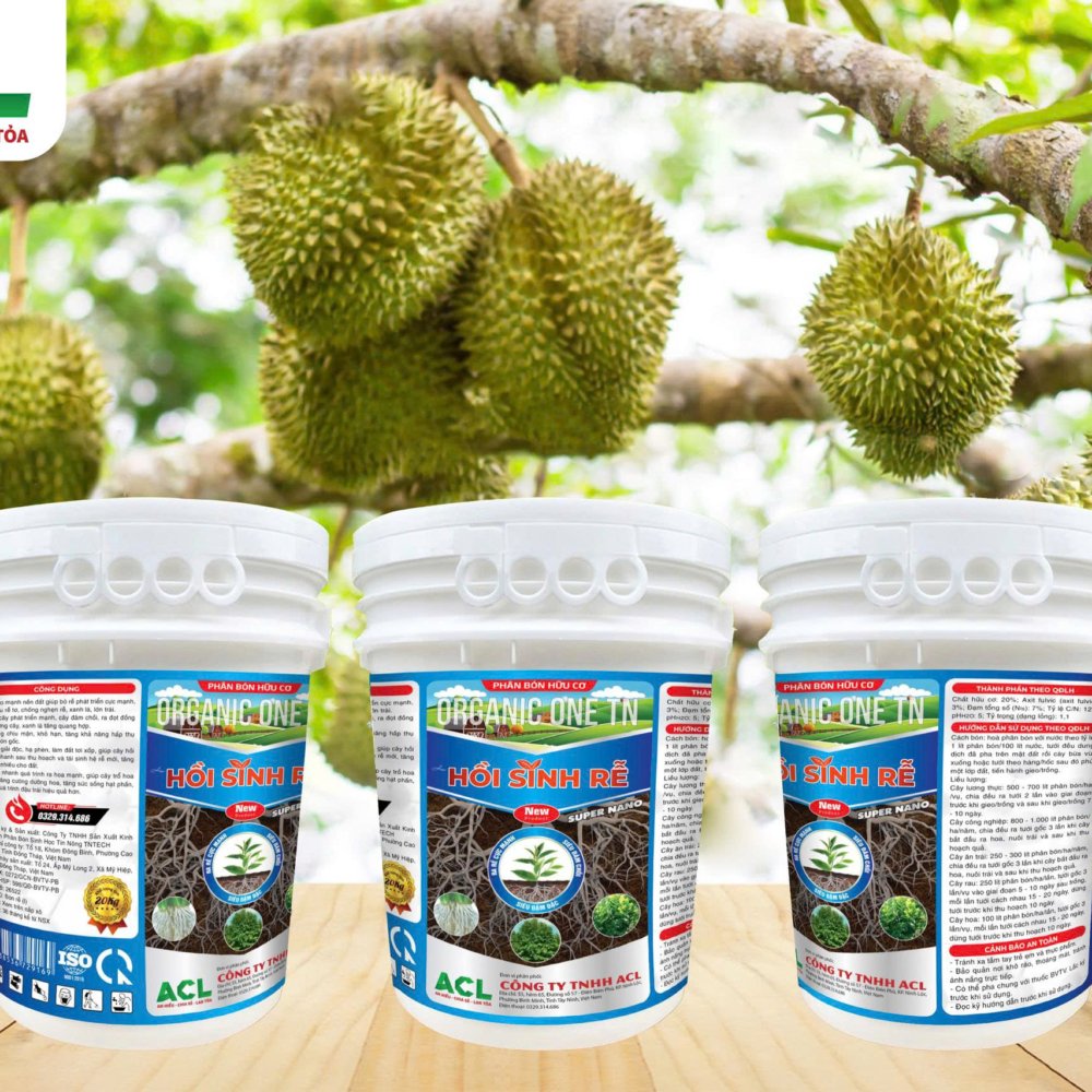 Alternative view of Hồi Sinh Rễ