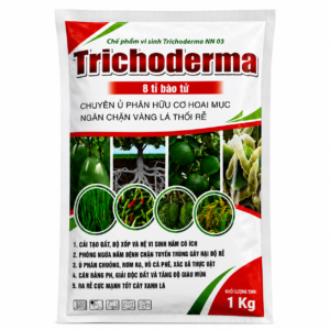 Chế phẩm vi sinh Trichoderma NN 03 8 tỉ bào tử 1 kg